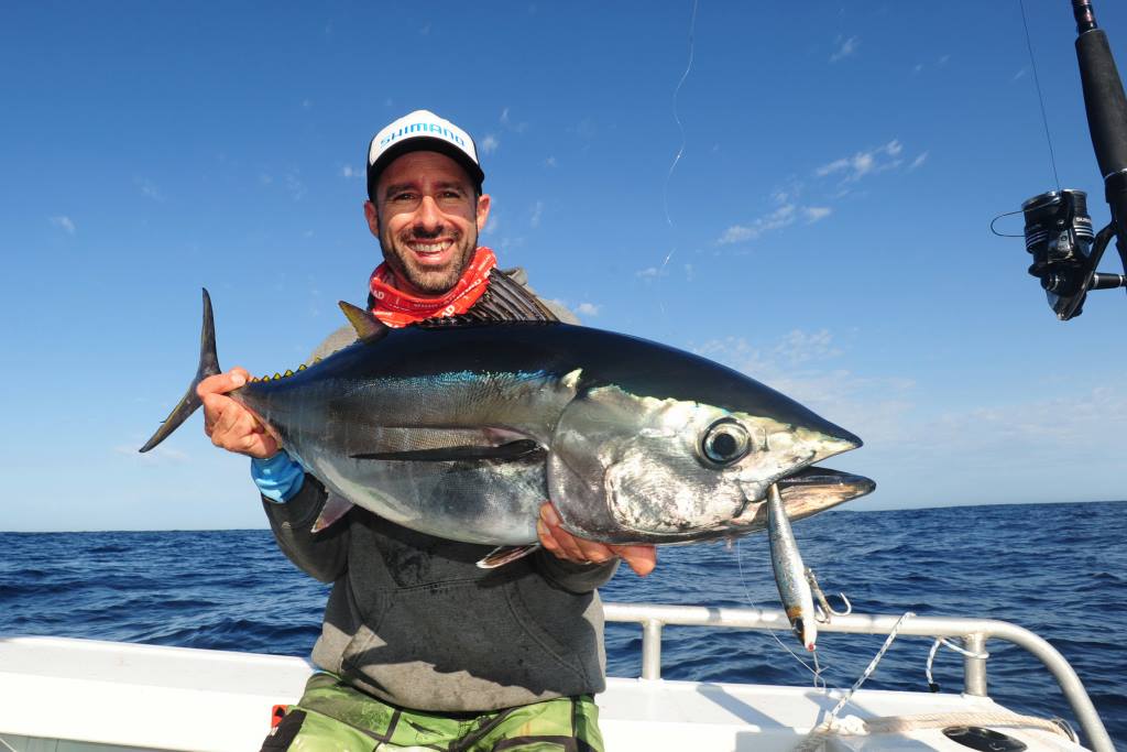 FISH FACTS: Southern bluefin tuna, whats the catch?