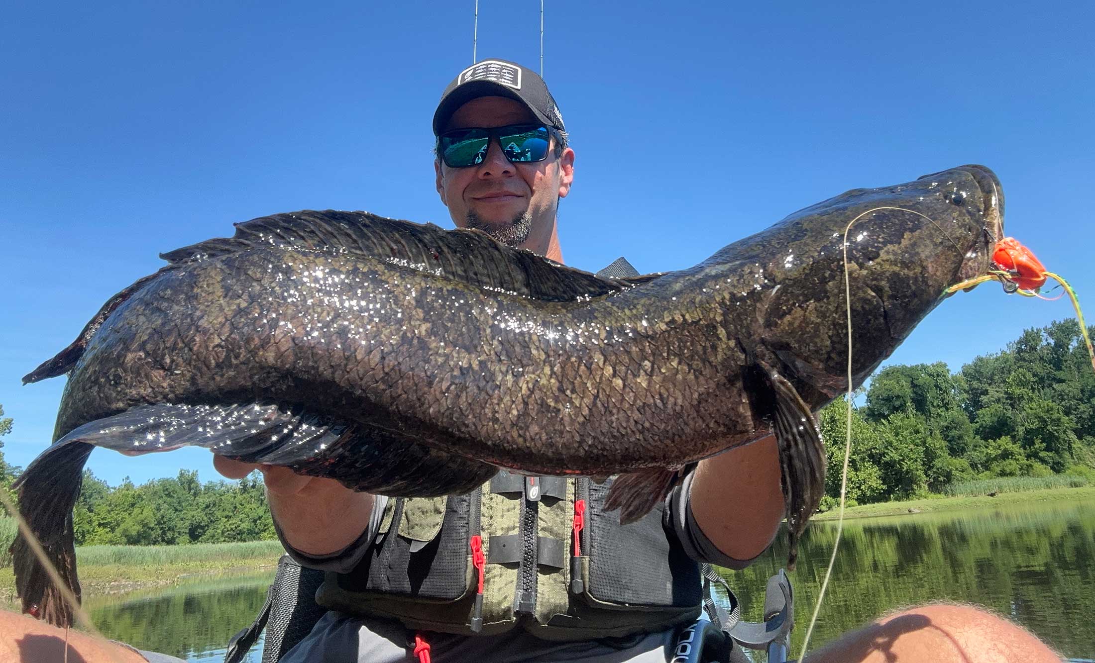 The Best Snakehead Lures | Outdoor Life